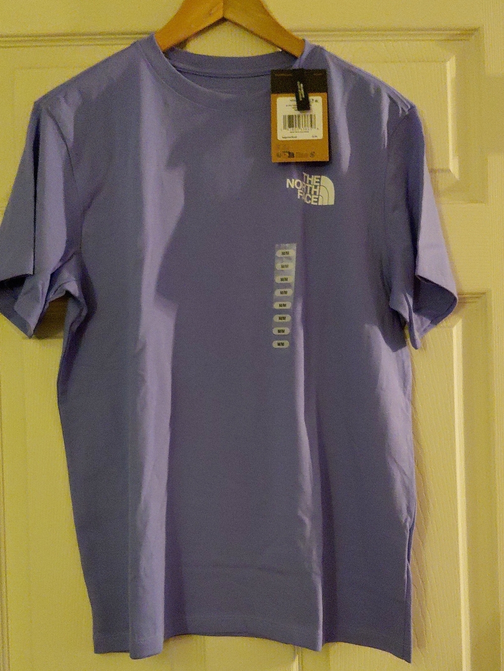 The North Face Men's Short-Sleeve Crew Tee in Lavender Purple